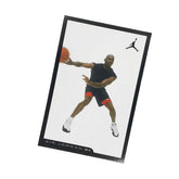 Nike Air Jordan 12 XII Taxi Retro Card