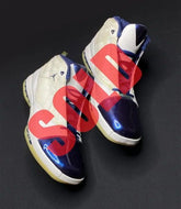 Nike Air Jordan 16 XVI Darius Miles PE Samples Clippers