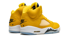 5 Retro PE "Michigan" DJ4954 997021