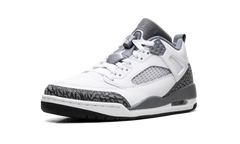 Spizike Low "Cool Grey Anthracite" FQ1759 102