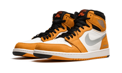 1 Element GORE-TEX "Light Curry" DB2889 700